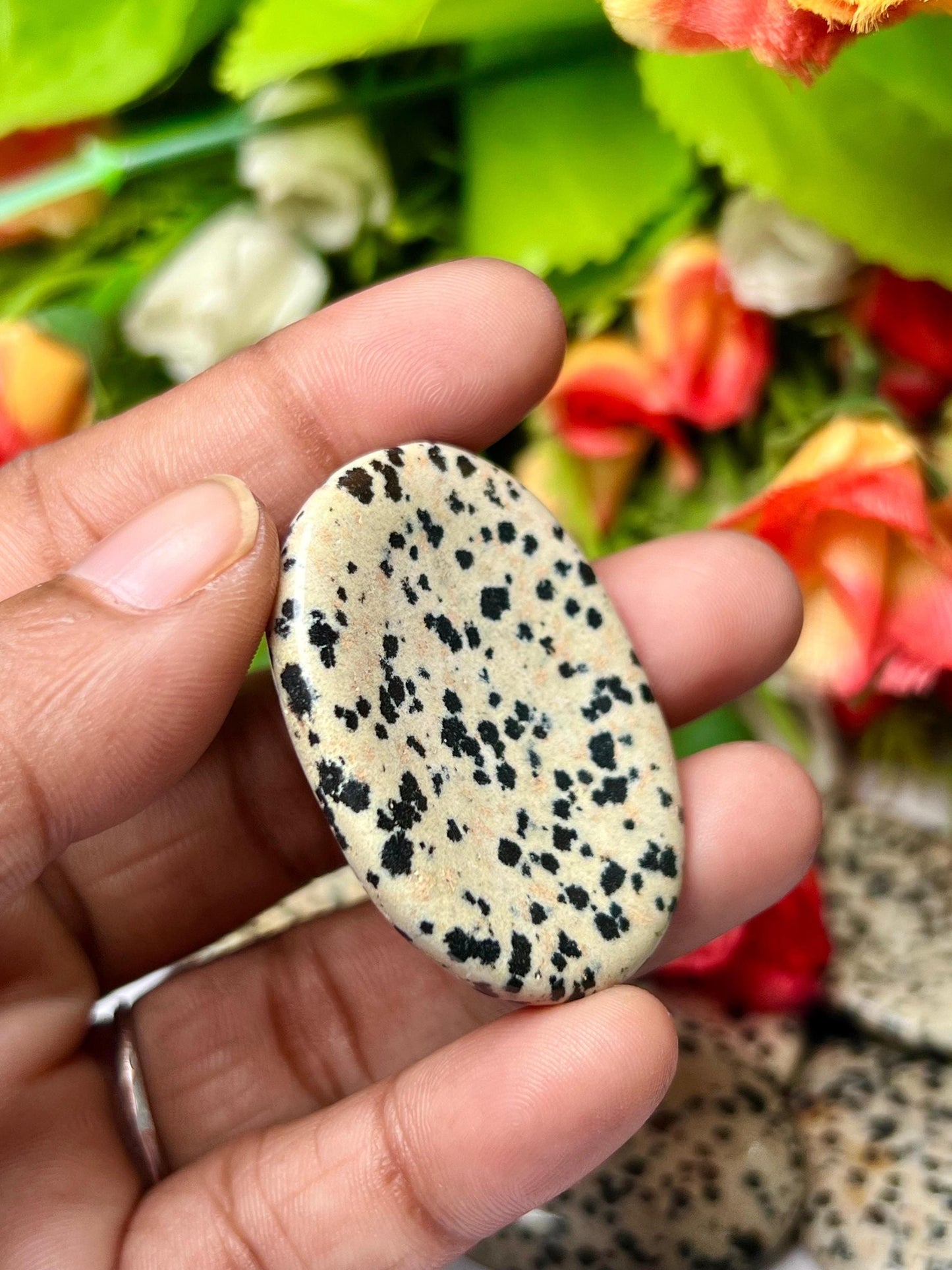 Dalmation Jasper Stone Worry Stone – Crystal Worry Stone – Pocket Stone – Healing Crystal - 4cmx3cm Thumb Stone One (1) Piece