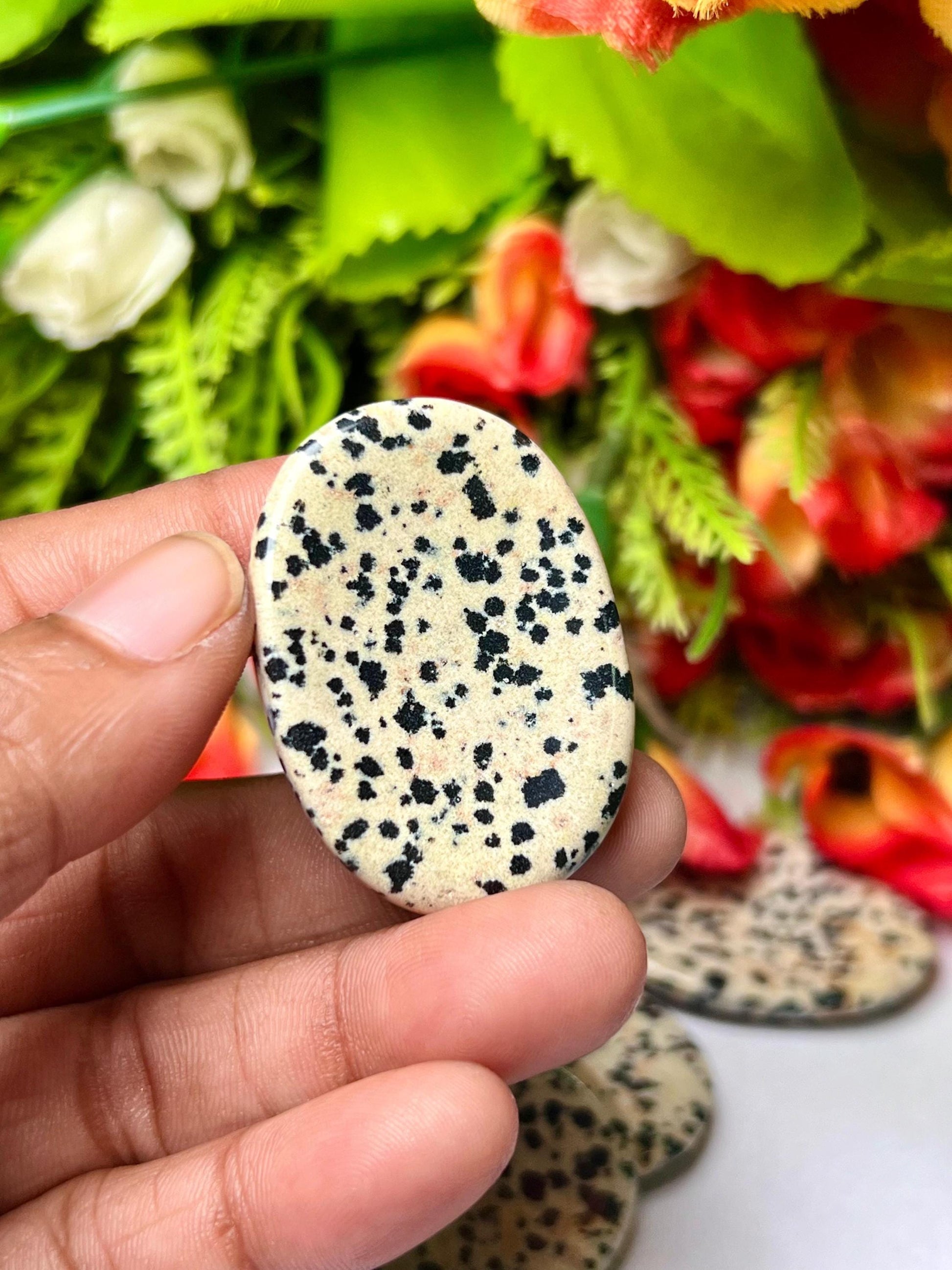 Dalmation Jasper Stone Worry Stone – Crystal Worry Stone – Pocket Stone – Healing Crystal - 4cmx3cm Thumb Stone One (1) Piece