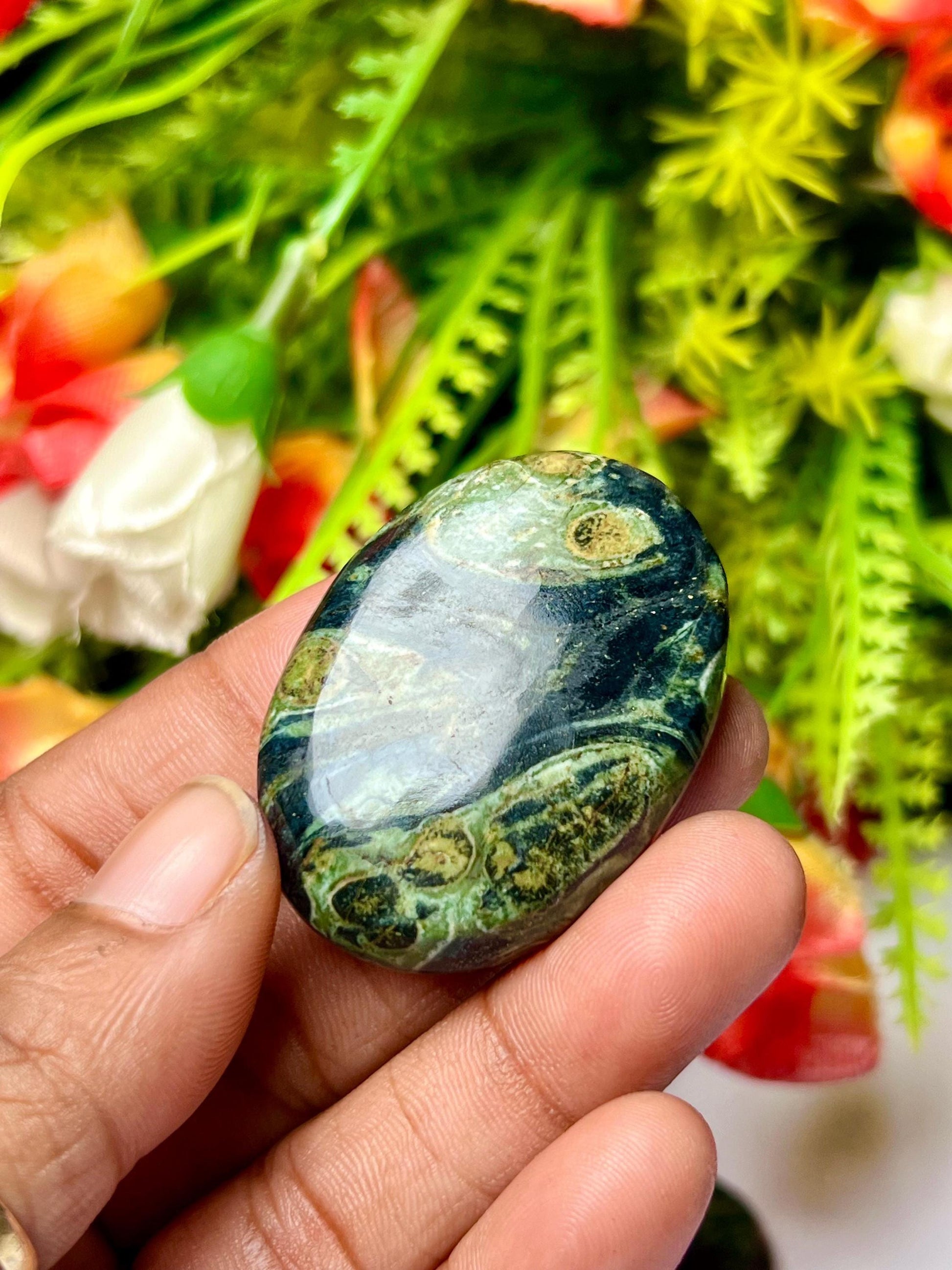 Kambaba Jasper Green Stromatolite Crocodile Jasper Galaxy Jasper, Amphibianite Stone Worry Stone – Pocket Stone – Thumb Stone One (1) Piece