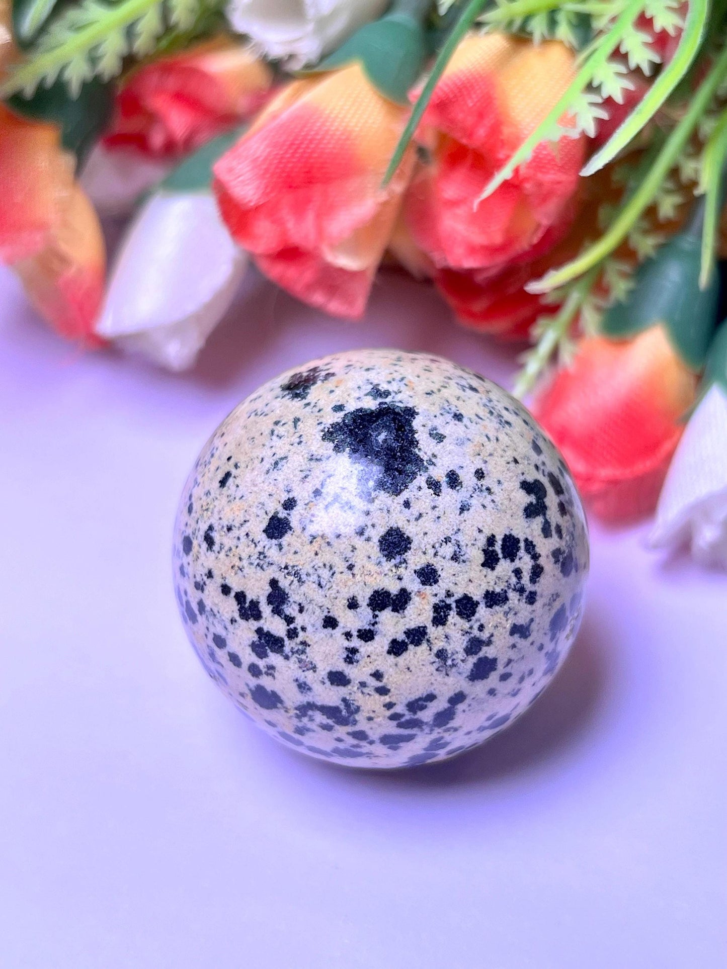 Dalmatian Jasper Stone Sphere 40 MM Crystal Ball Orb Pocket Stone Meditation Space Crystal Grid With wooden Stand