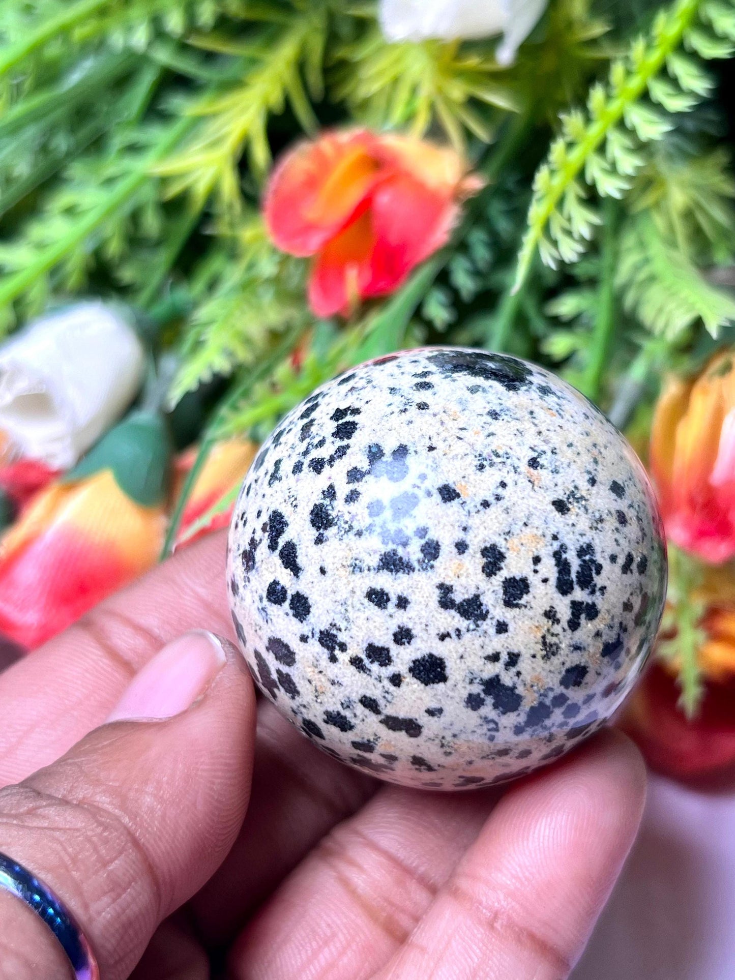 Dalmatian Jasper Stone Sphere 40 MM Crystal Ball Orb Pocket Stone Meditation Space Crystal Grid With wooden Stand