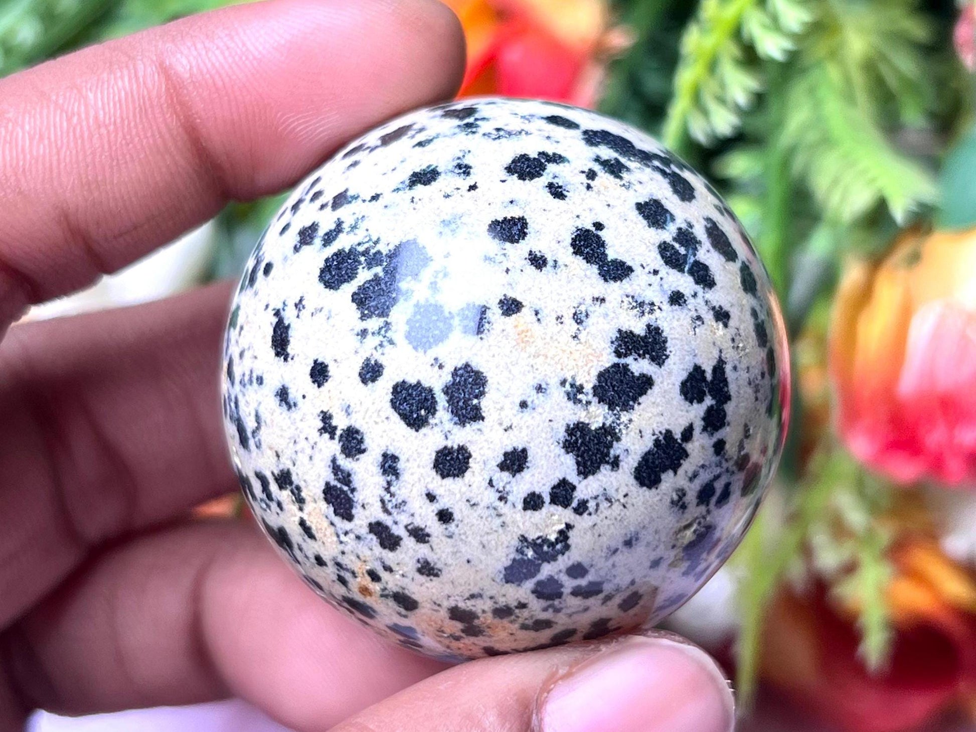 Dalmatian Jasper Stone Sphere 40 MM Crystal Ball Orb Pocket Stone Meditation Space Crystal Grid With wooden Stand