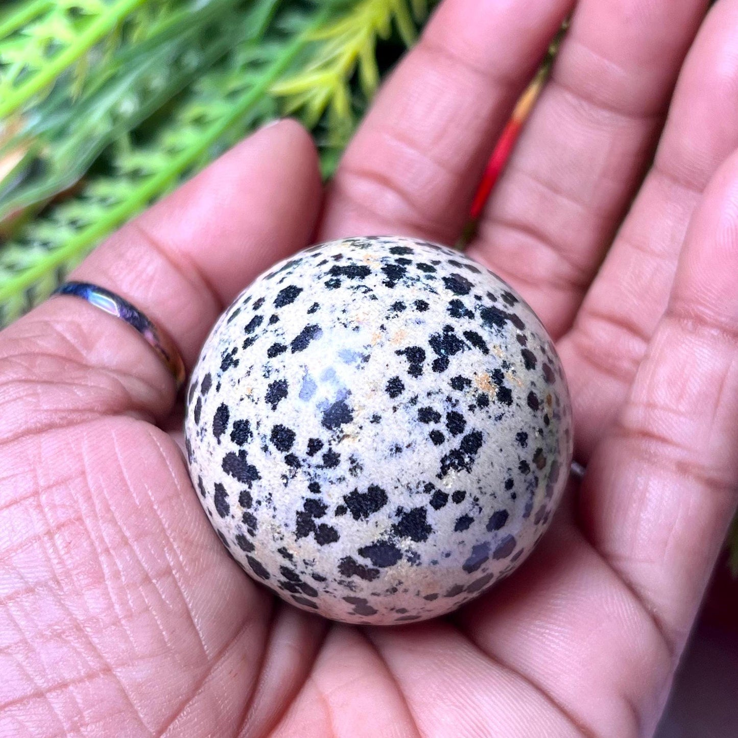 Dalmatian Jasper Stone Sphere 40 MM Crystal Ball Orb Pocket Stone Meditation Space Crystal Grid With wooden Stand