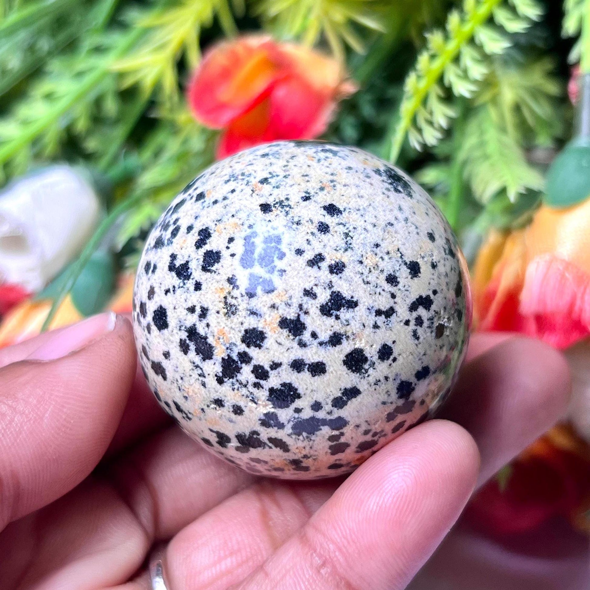 Dalmatian Jasper Stone Sphere 40 MM Crystal Ball Orb Pocket Stone Meditation Space Crystal Grid With wooden Stand