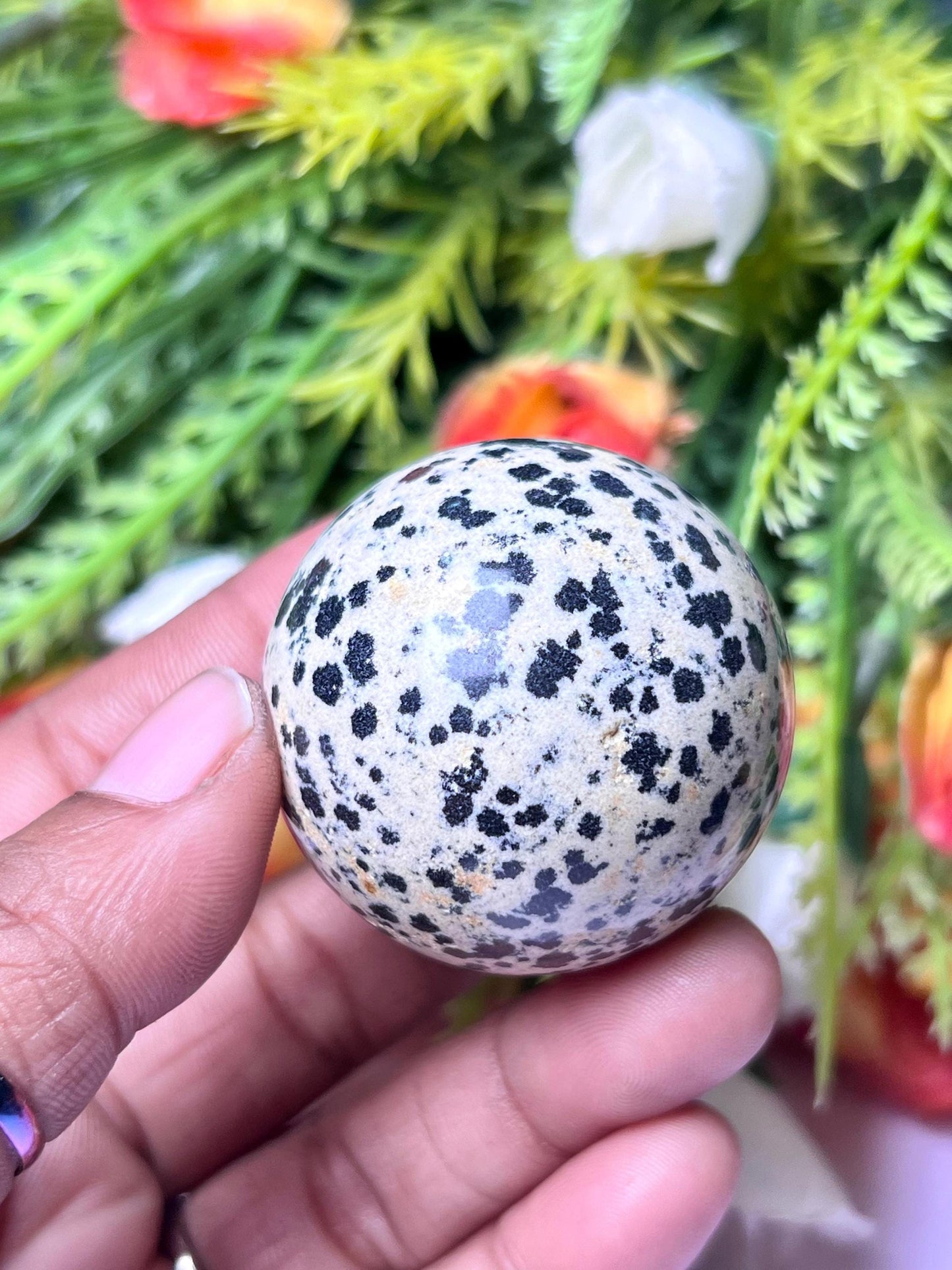 Dalmatian Jasper Stone Sphere 40 MM Crystal Ball Orb Pocket Stone Meditation Space Crystal Grid With wooden Stand