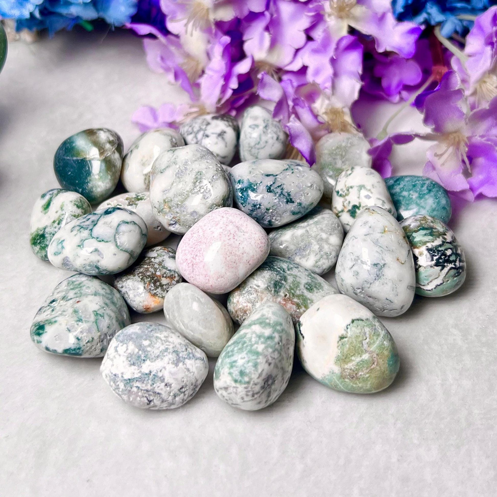 Tree Agate Stone Tumbled Stone - Spiritual Stone -Healing Crystals in pack sizes of 1,3,5, and 10 Pieces Quality AAAAA +++++